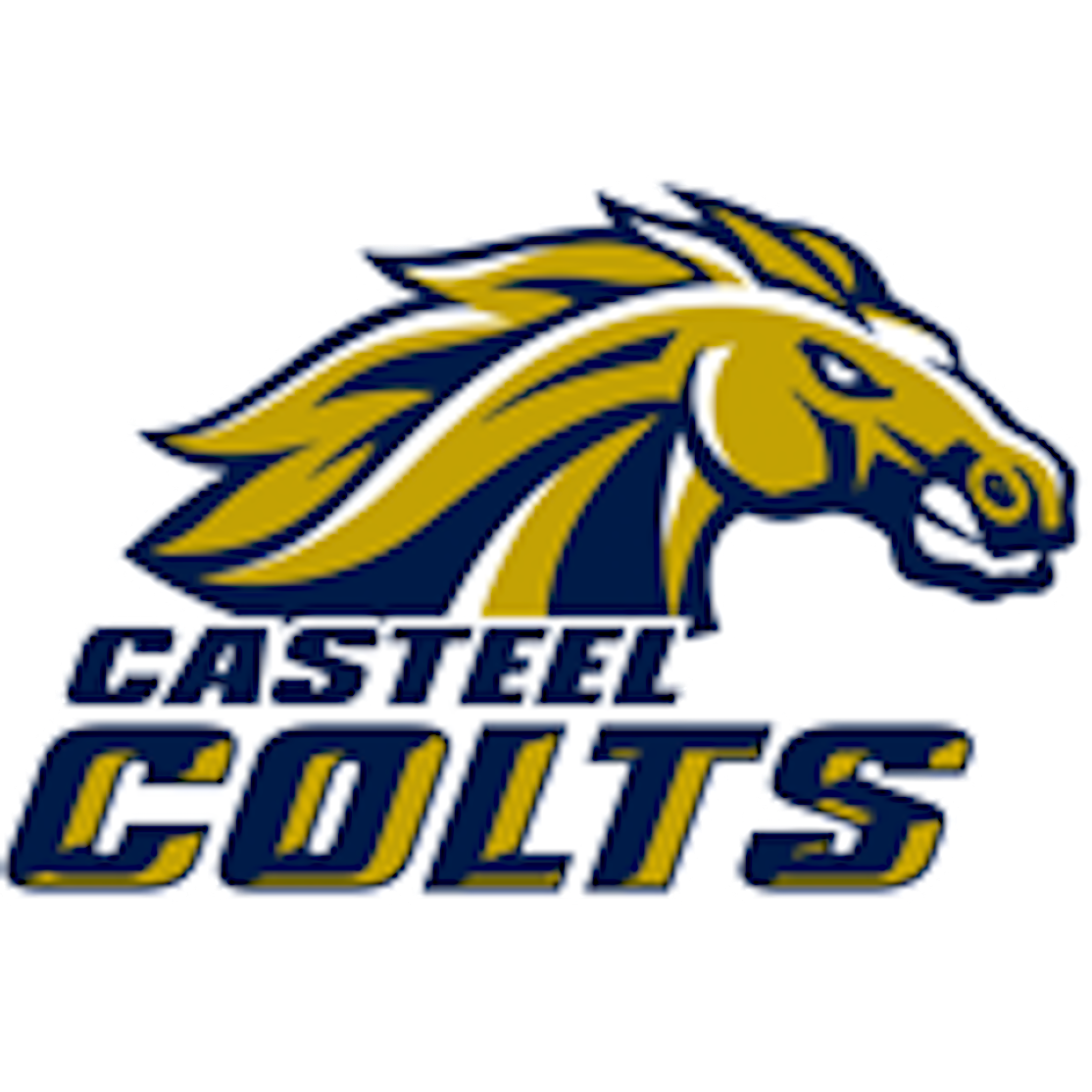 Casteel High School Colts Logo