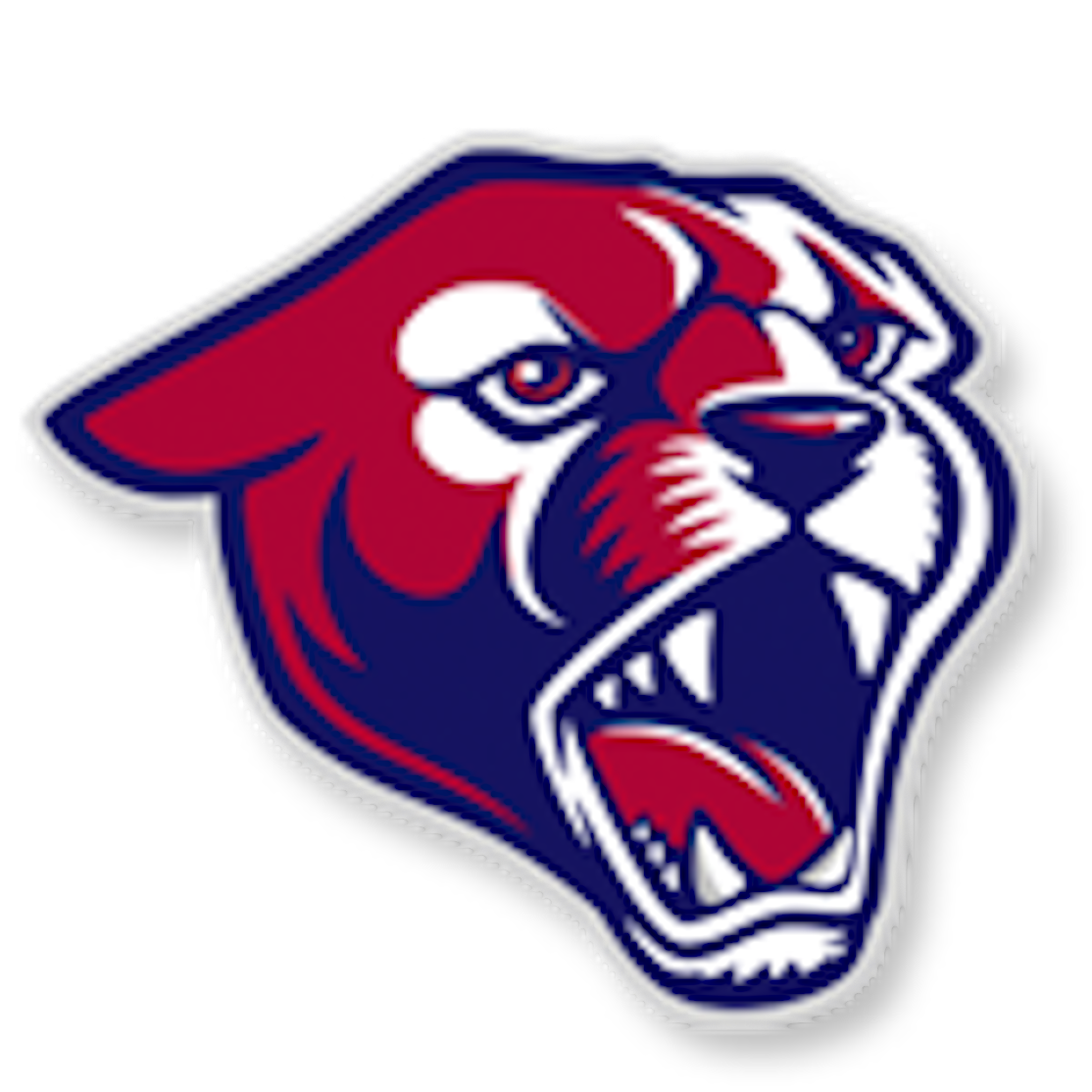 Perry High School Puma's Logo